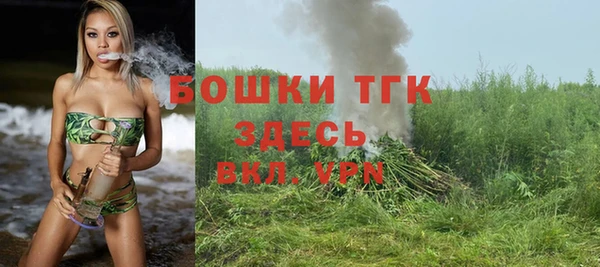 молекула духа Абинск