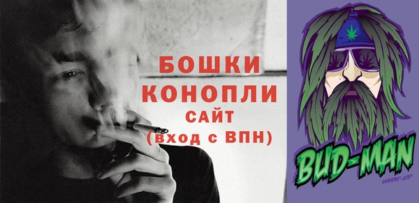 бошки Алексин