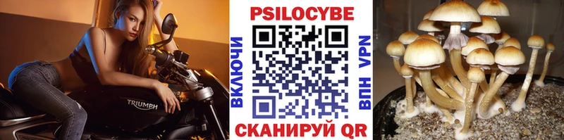 Галлюциногенные грибы Psilocybe  Ува 